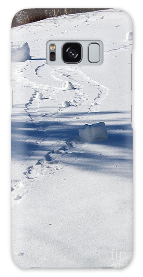 Winter Galaxy Case featuring the photograph Snow Rollers by Karen Adams