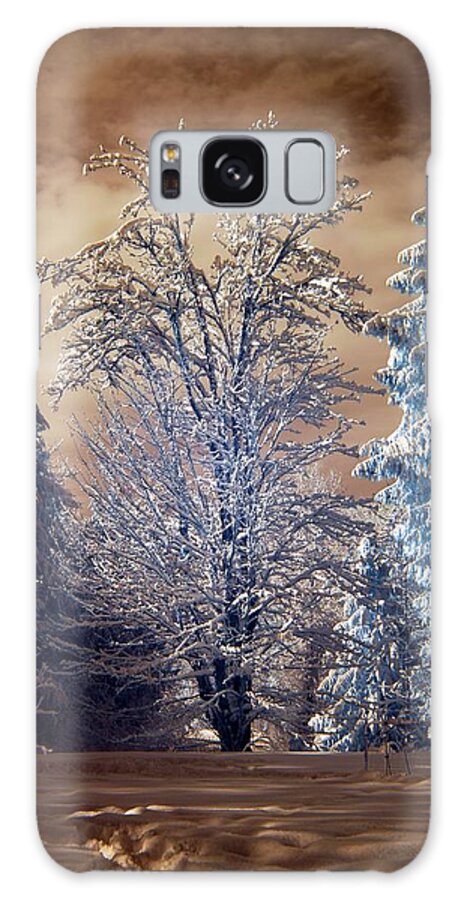 Snow Galaxy Case featuring the photograph Snowy Day by Rebecca Parker