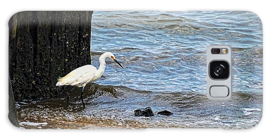 Snowy Galaxy Case featuring the photograph Snowy Egret At The Shore by Sharon Woerner