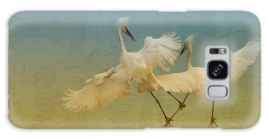 Egrets Galaxy Case featuring the photograph Snowy Egret Dance by Deborah Benoit