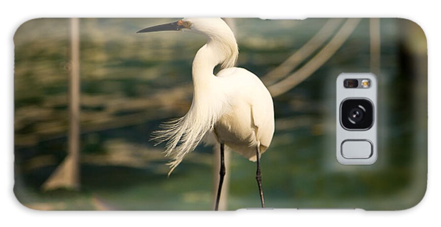 Snowy Egret Galaxy Case featuring the photograph Snowy Egret Plumage by Rene Triay FineArt Photos