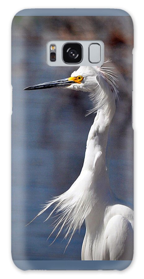 Egret Galaxy Case featuring the photograph Snowy Egret by Savannah Gibbs