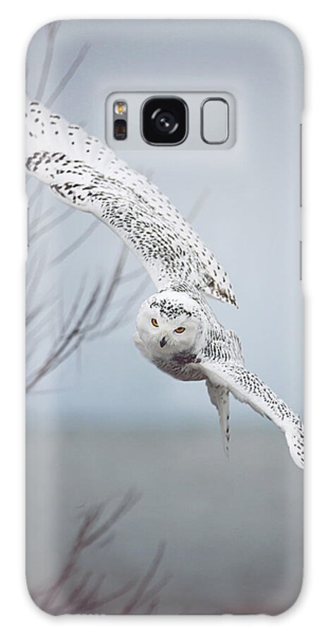 Wildlife Galaxy Case featuring the photograph Snowy Owl In Flight by Carrie Ann Grippo-Pike