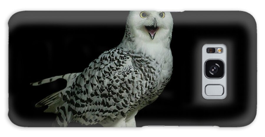 Animal Themes Galaxy Case featuring the photograph Snowy Owl by Manoj Shah