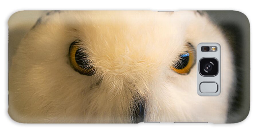 Snowy Owl Galaxy Case featuring the photograph Snowy Owl of the Dunes by Verana Stark