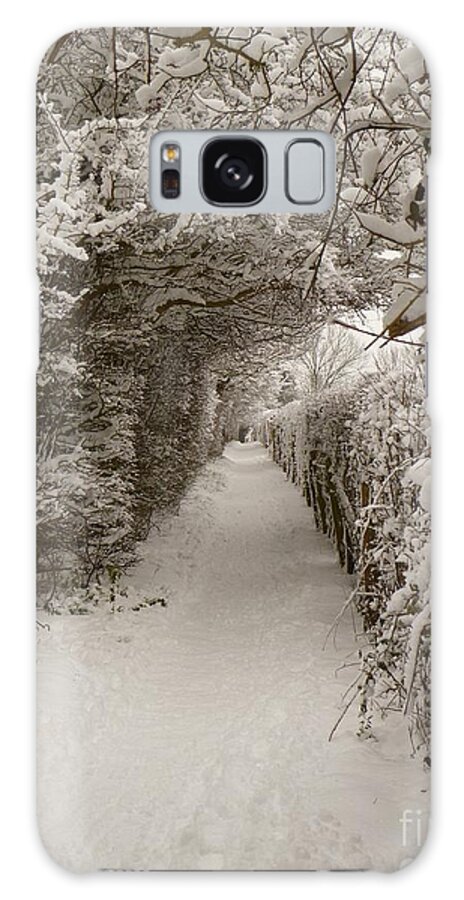Snow Galaxy Case featuring the photograph Snowy Path by Vicki Spindler