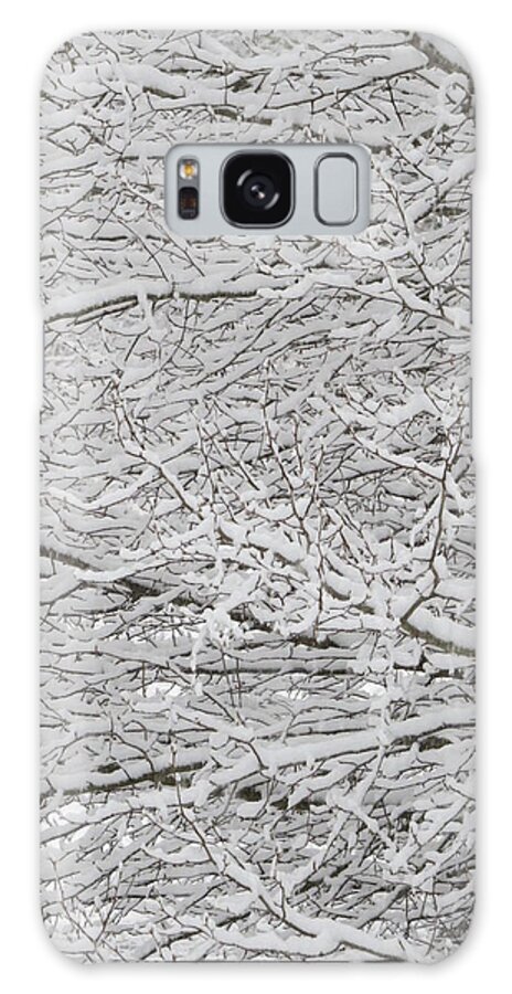 Kathy Long Galaxy Case featuring the photograph Snowy Tree Branches by Kathy Long