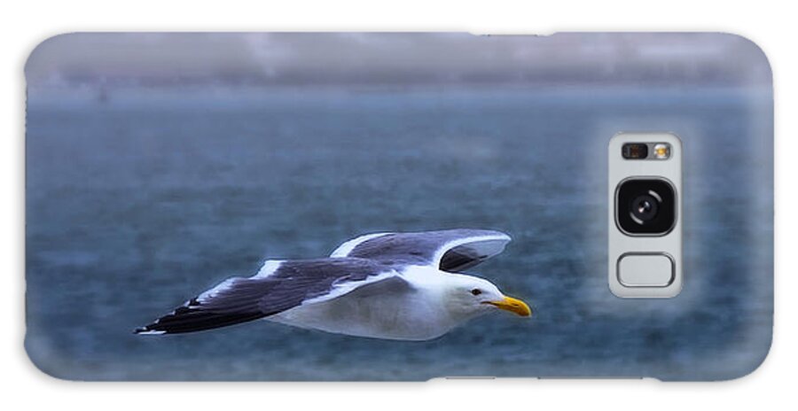 Seagull Galaxy Case featuring the photograph Soar by Joe Ownbey