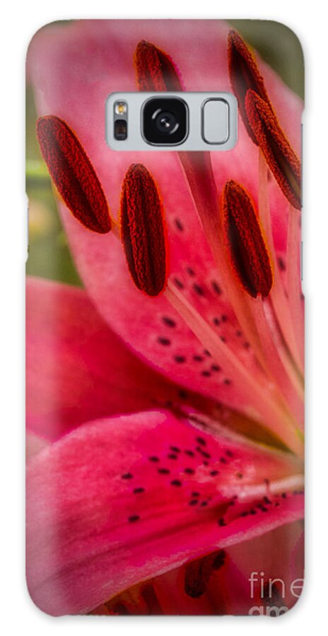 Art Prints Galaxy Case featuring the photograph Soft and Colorful by Dave Bosse