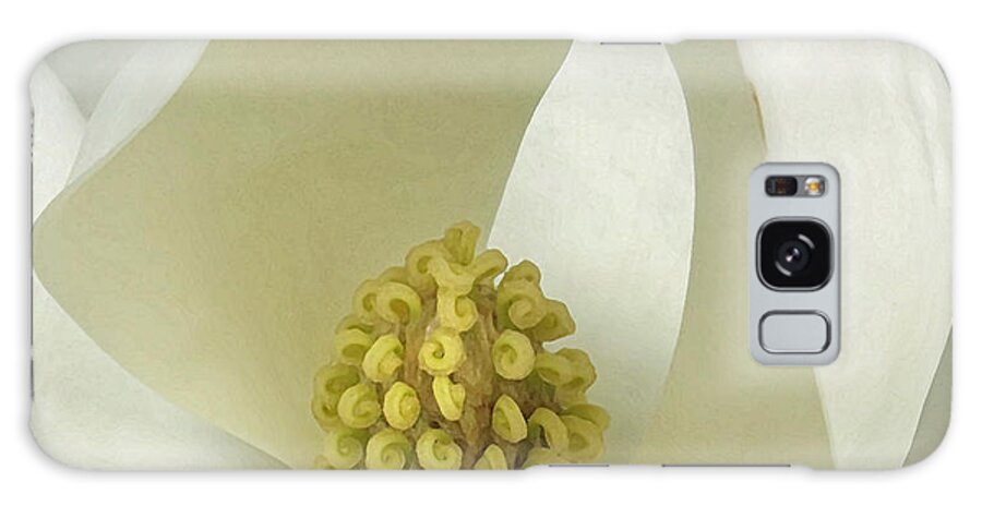 Nature Galaxy Case featuring the photograph Soft Magnolia Grandiflora by Deborah Smith