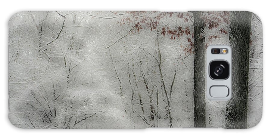 Snow Galaxy Case featuring the photograph Soft Snow by Nancy De Flon