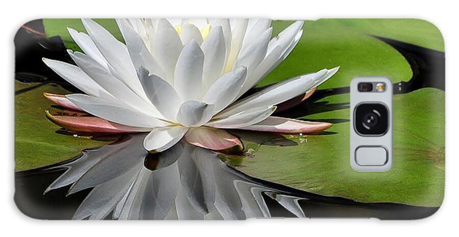 Flowers Galaxy Case featuring the photograph Softly by Kathy Baccari