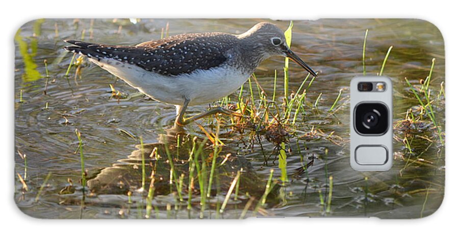 Solitary Sandpiper Galaxy Case featuring the photograph Solitary Sandpiper 2 by James Petersen
