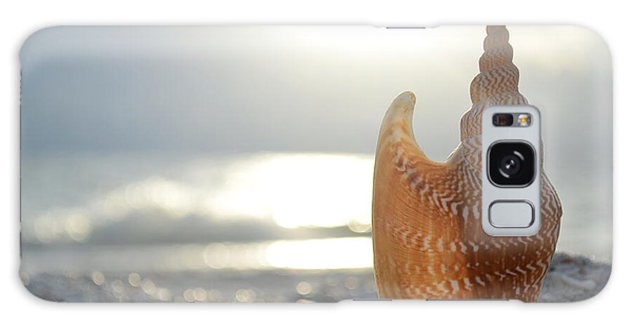 Seashell Galaxy Case featuring the photograph Something Beautiful Remains by Melanie Moraga