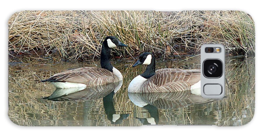 Canadian Geese Galaxy Case featuring the photograph Soul Mate by Lorna Rose Marie Mills DBA Lorna Rogers Photography