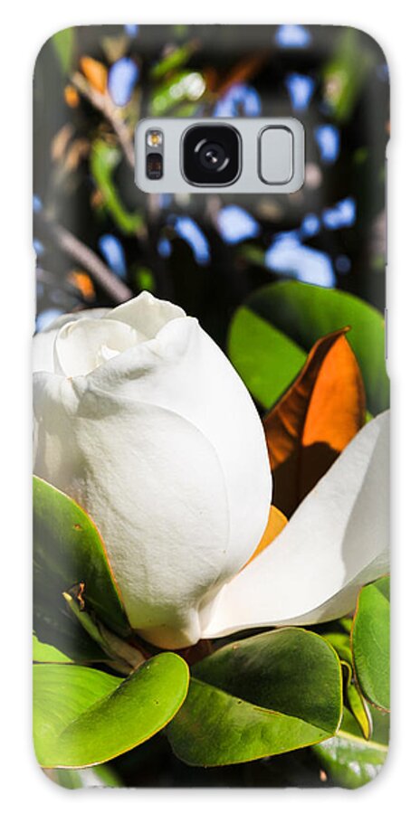 Flowers Galaxy Case featuring the photograph Southern Magnolia Blossom by Judy Wright Lott