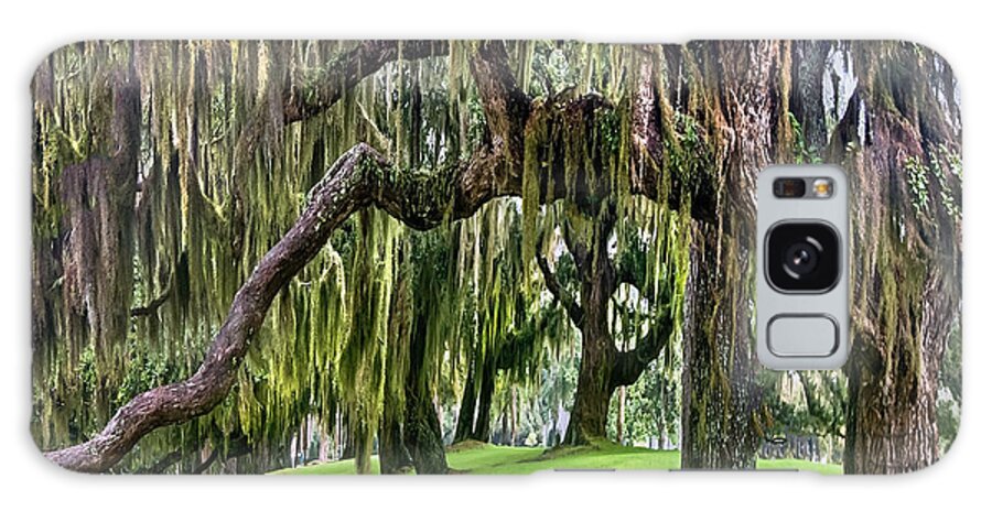 Georgia Galaxy Case featuring the photograph Spanish Moss by Debra and Dave Vanderlaan