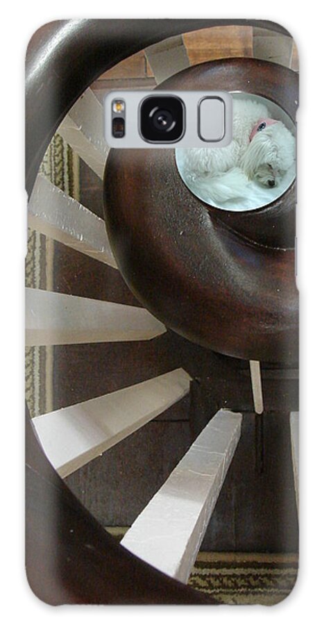Sleep Galaxy Case featuring the photograph Spiral Railing and Puppy by Mary Beth Landis