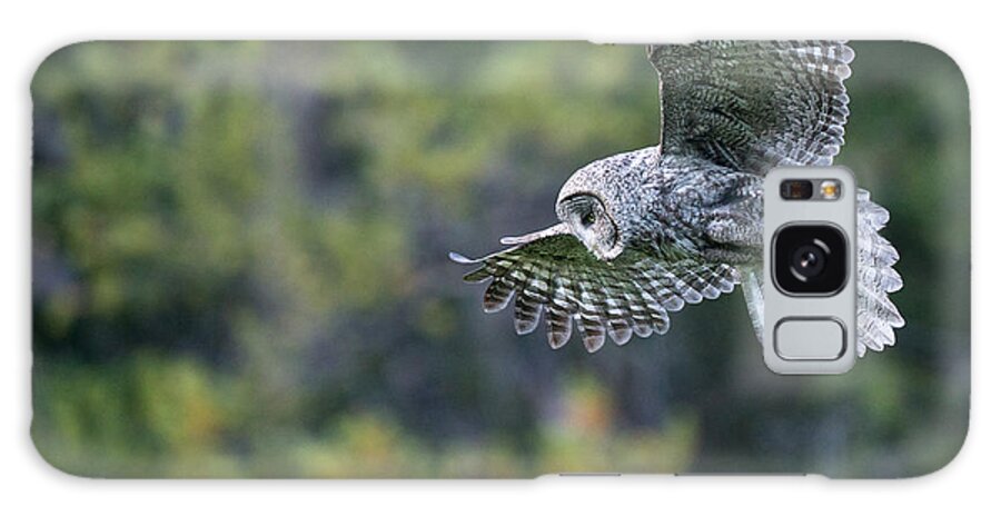 Great Gray Owl Galaxy Case featuring the photograph Spirit of the Forest by Max Waugh