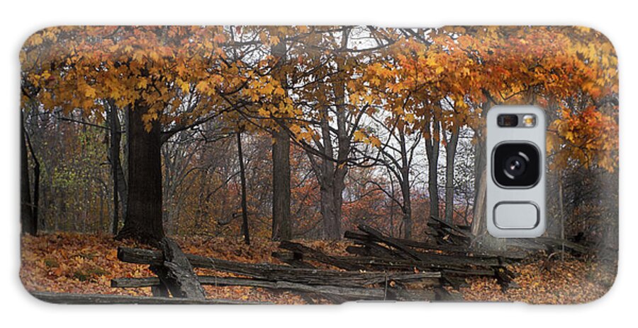 Autumn Galaxy Case featuring the photograph Split Rail Autumn - FM000085 by Daniel Dempster