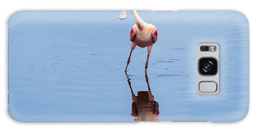 Roseate Spoonbill Galaxy Case featuring the photograph Spoonie Striking a Pose by John M Bailey