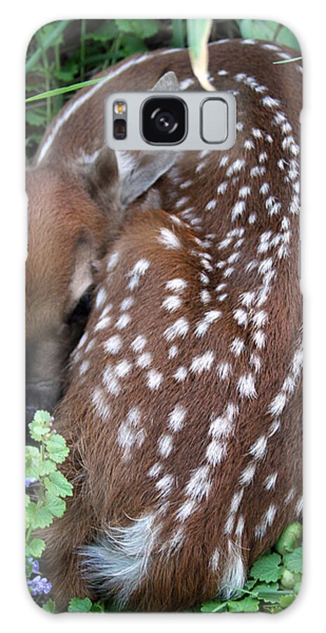 Fawn Galaxy Case featuring the photograph Spots by Jackson Pearson