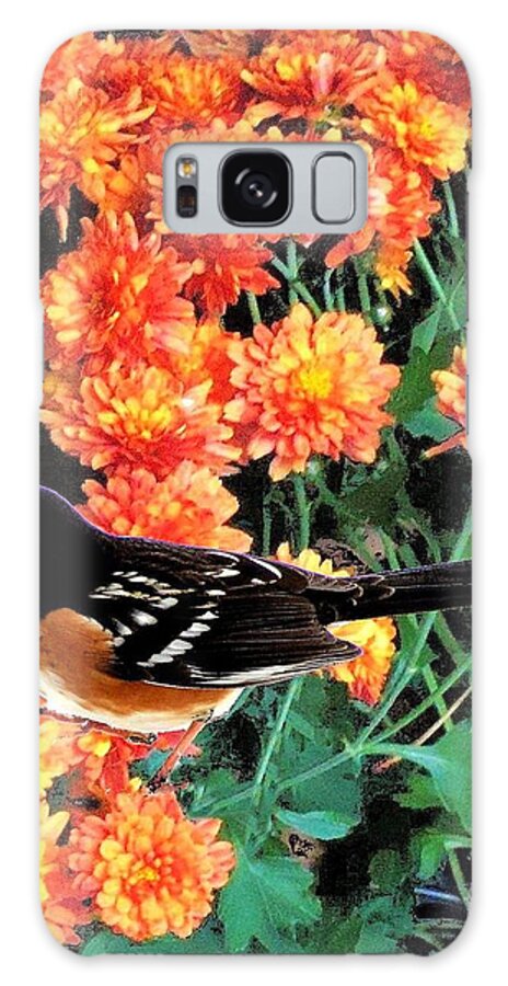 Towhee Galaxy Case featuring the photograph Spotted Towhee on Orange Flowers by Janette Boyd