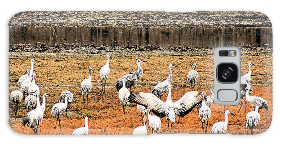 Sandhill Crane Galaxy S8 Case featuring the photograph Spread Your Wings by Lorna Rose Marie Mills DBA Lorna Rogers Photography