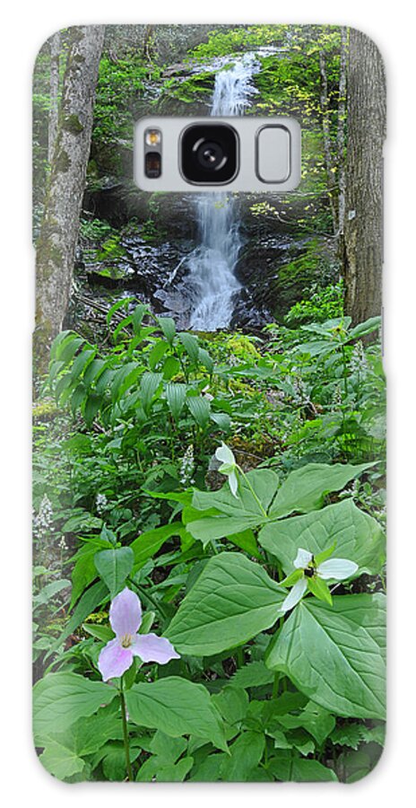 Waterfall Galaxy Case featuring the photograph Spring at Secluded Falls by Alan Lenk