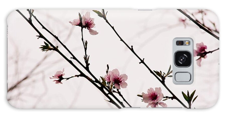 Flowers Galaxy Case featuring the photograph Spring Blossoms by Vanessa Thomas