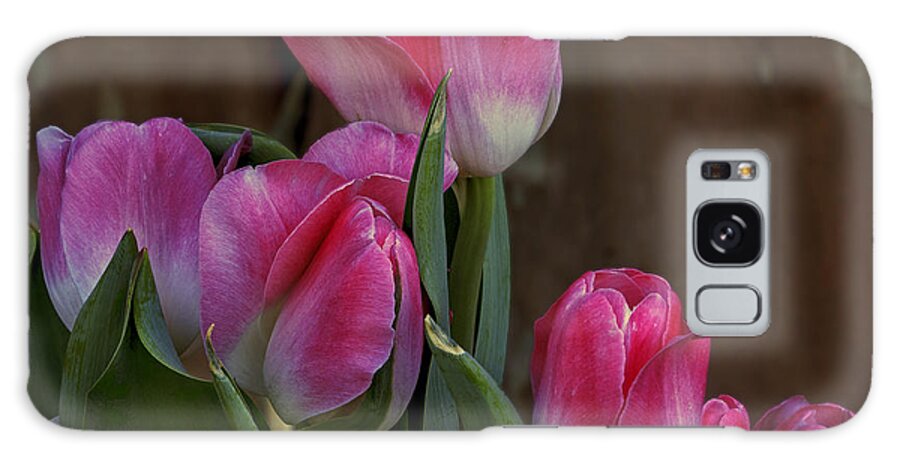 Tulip Galaxy Case featuring the photograph Spring Color by Robert Pilkington