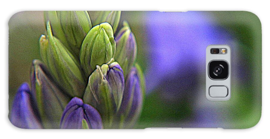 Hyacinth Galaxy S8 Case featuring the photograph Spring Expressions by Suzy Piatt