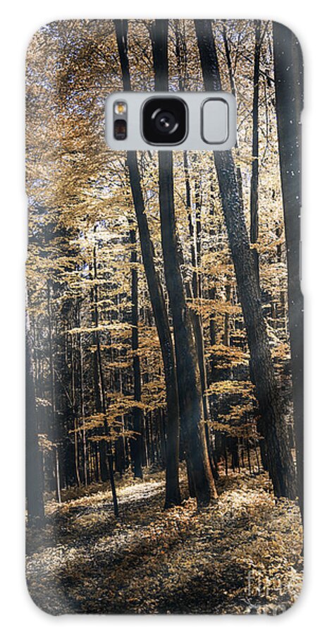 May Galaxy Case featuring the photograph Spring Forest by Bruno Santoro