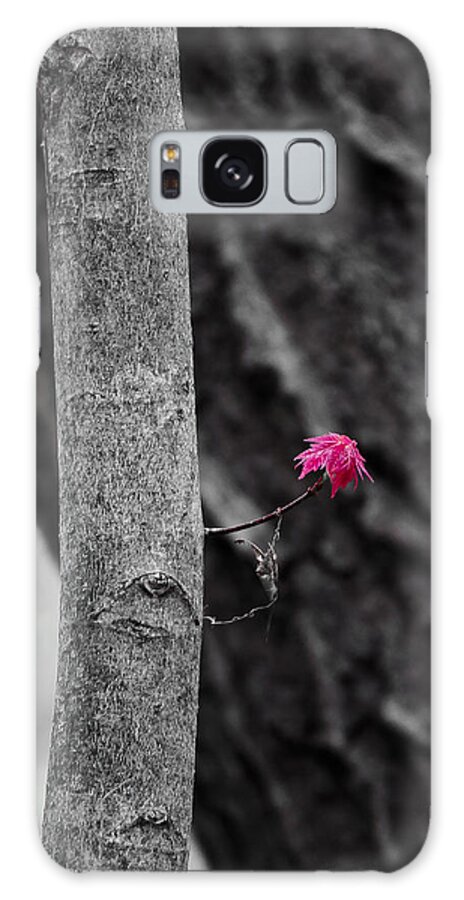 Natural Bridge Galaxy Case featuring the photograph Spring Maple Growth by Steven Ralser