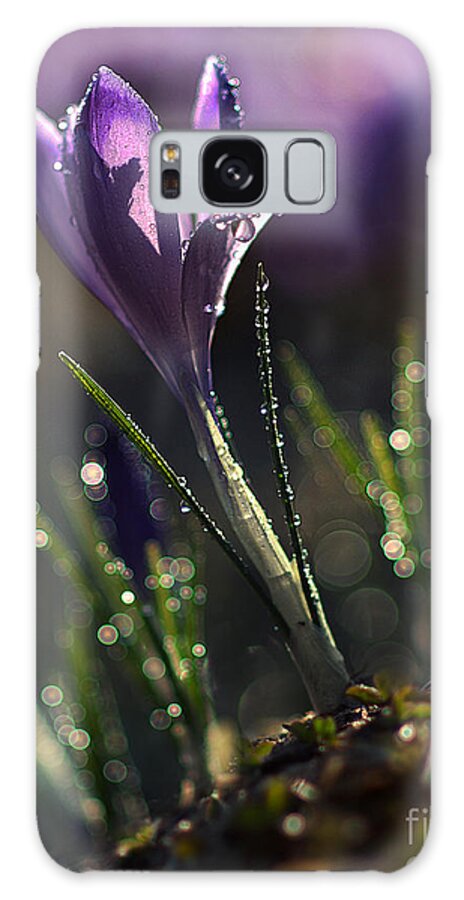 Spring Galaxy Case featuring the photograph Spring Impression II by Jaroslaw Blaminsky