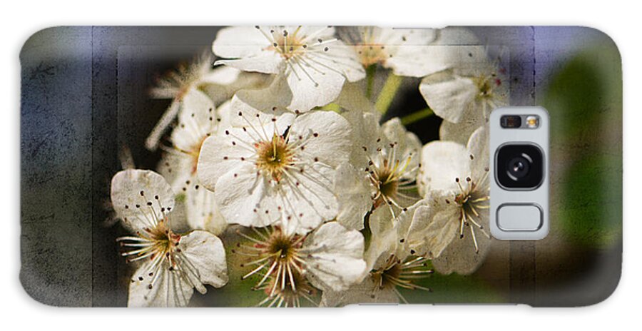 Bradford Pear Blooms Galaxy S8 Case featuring the photograph Spring in Bloom by Melinda Dreyer