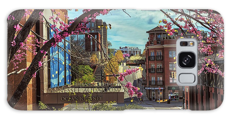 Scenic City Galaxy Case featuring the photograph Spring In The Scenic City by Steven Llorca