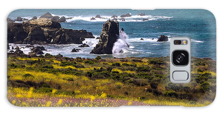 Art Galaxy Case featuring the photograph Spring on the California Coast By Denise Dube by Denise Dube
