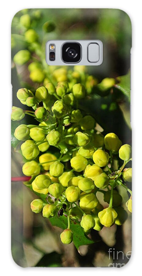  Galaxy S8 Case featuring the photograph Spring Oregon Grape by Sharron Cuthbertson