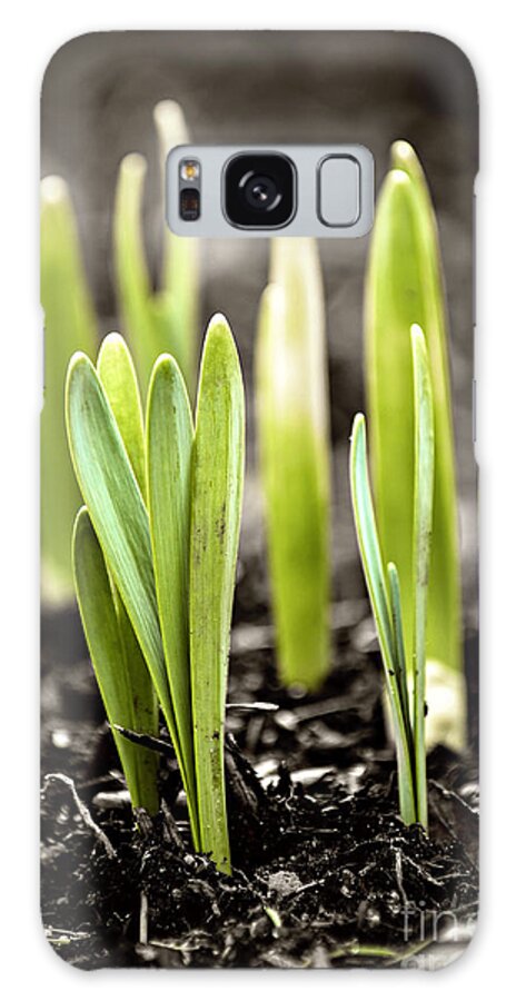 Spring Galaxy Case featuring the photograph Spring shoots by Elena Elisseeva