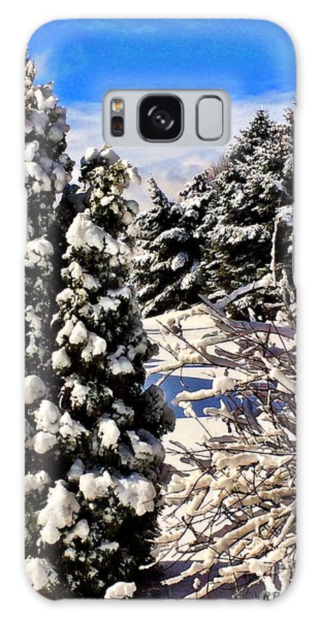 Snow Galaxy Case featuring the photograph Spring Snow by Veronica Batterson