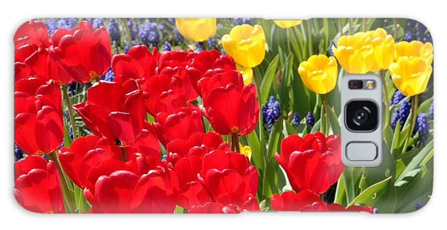 Spring Galaxy Case featuring the photograph Spring Sunshine by Carol Groenen