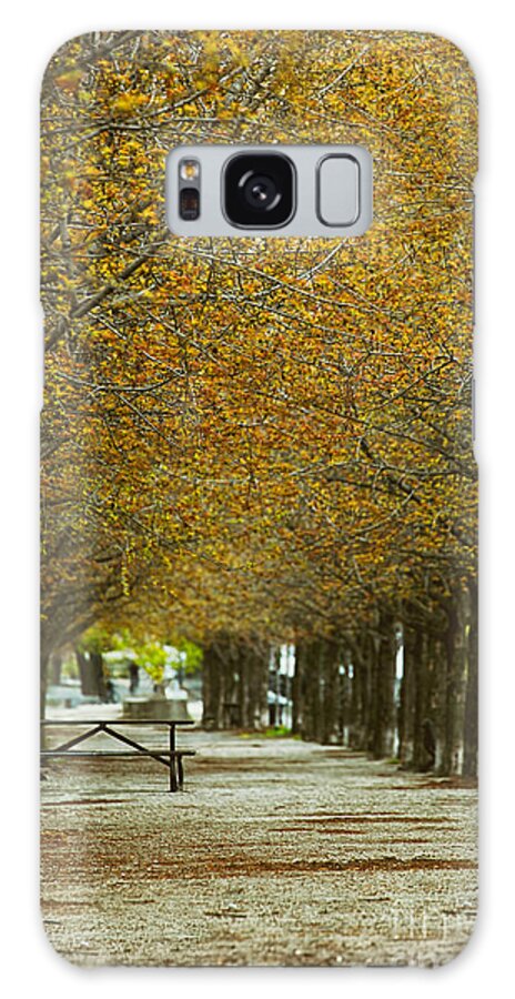 Blossom Galaxy S8 Case featuring the photograph Spring trees blossoming in Montreal by Sandra Cunningham