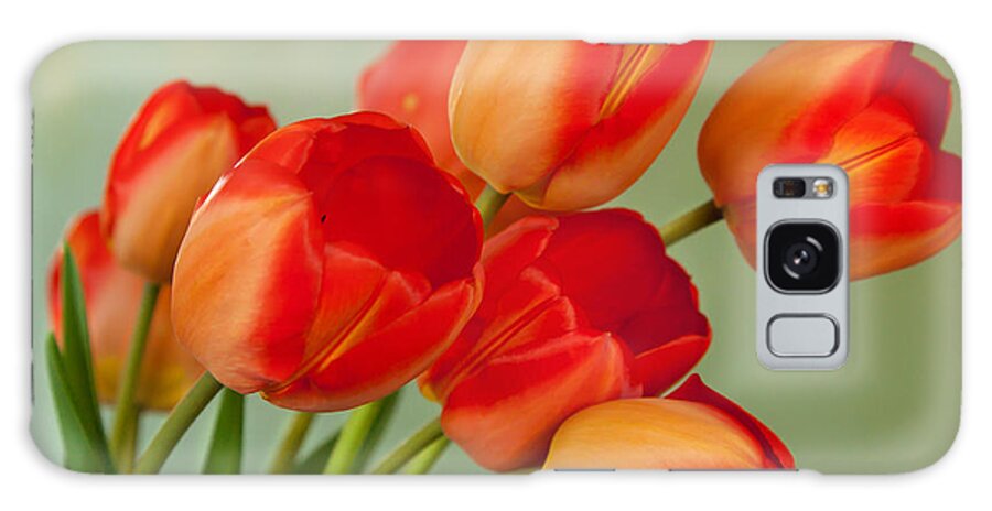  Galaxy Case featuring the photograph Spring Tulips by Courtney Webster