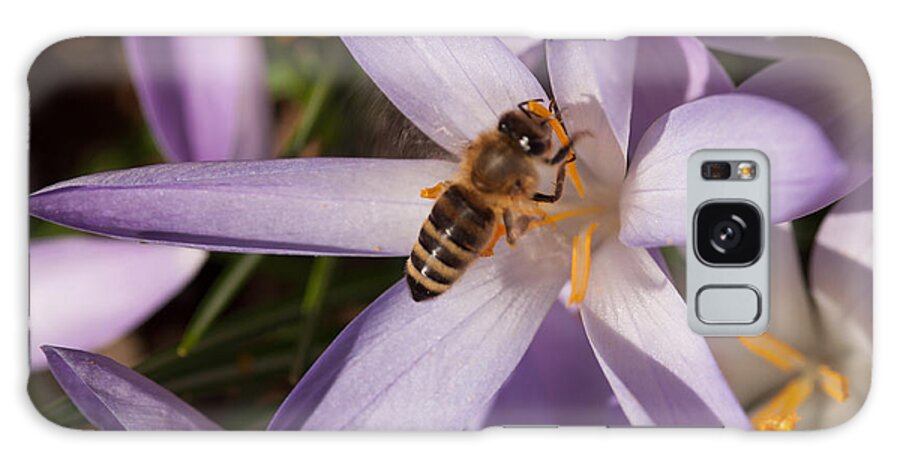 Spring Galaxy Case featuring the photograph Spring's Welcome by Miguel Winterpacht
