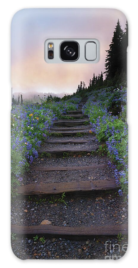 Stairway Galaxy Case featuring the photograph Stairway to the Heavens by Michael Dawson