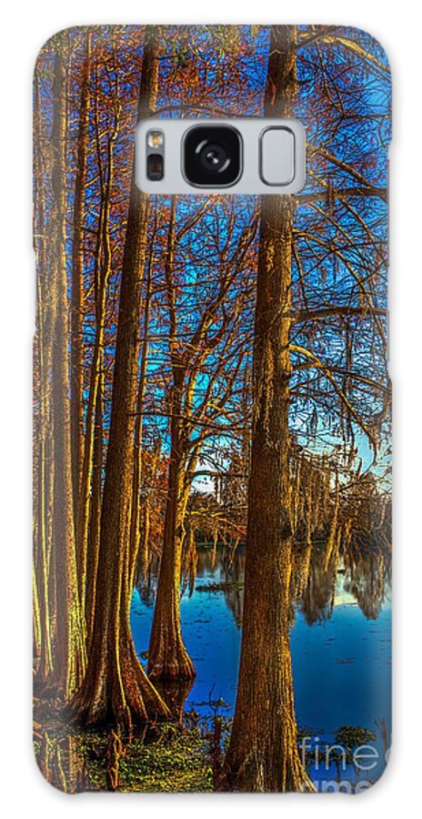 Cypress Trees Galaxy Case featuring the photograph Stand Tall by Marvin Spates
