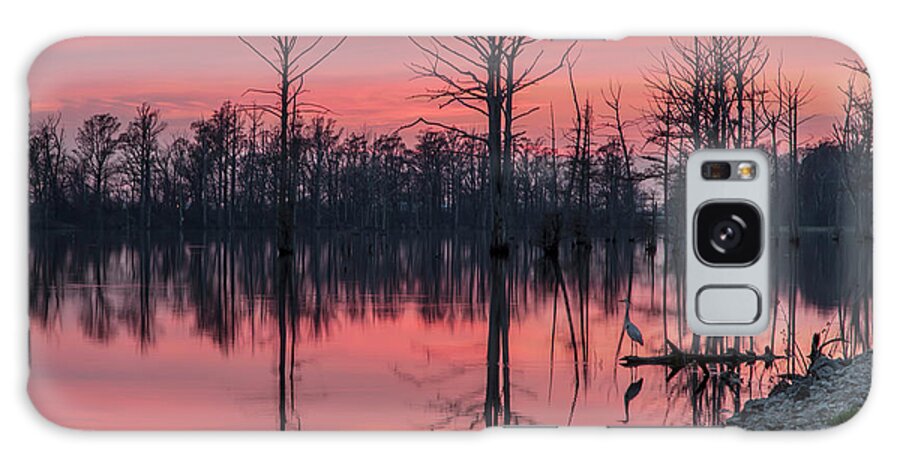 Outdoors Galaxy Case featuring the photograph Standing Guard by Larrybraunphotography.com