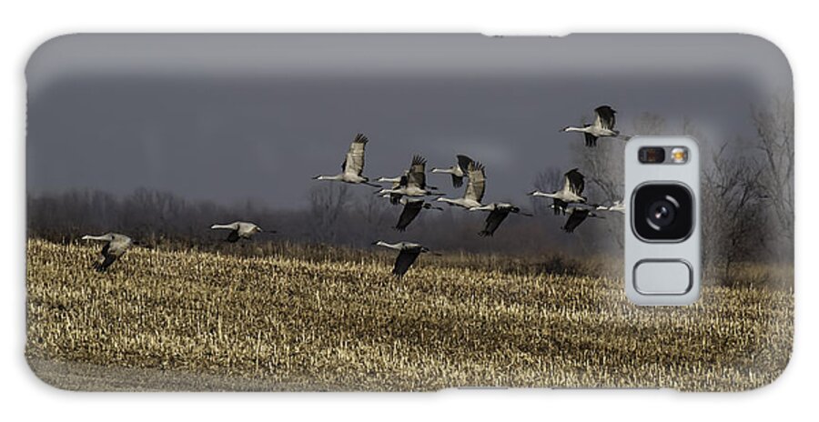 Whooping Crane Galaxy Case featuring the photograph Standing Out 1 by Thomas Young