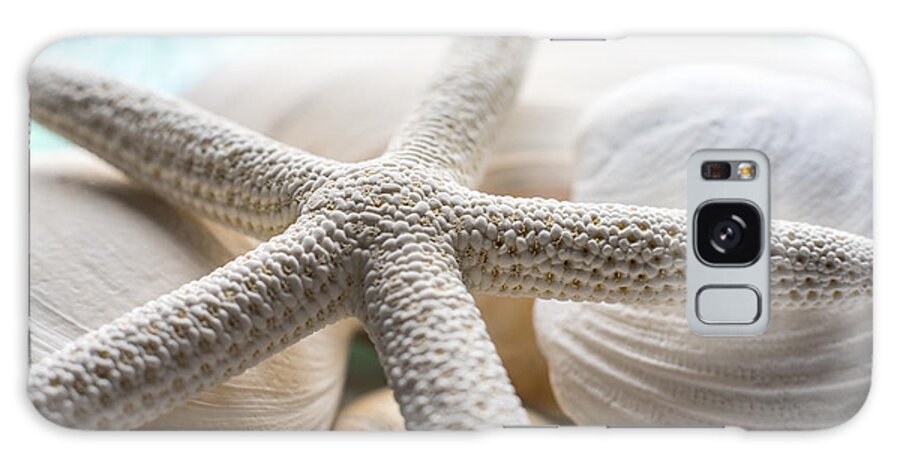 Starfish And Seashells Galaxy Case featuring the photograph Starfish and Seashells by Terry DeLuco